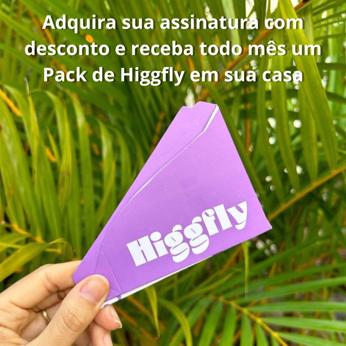 Assinatura Mensal Higgfly - 100 unidades